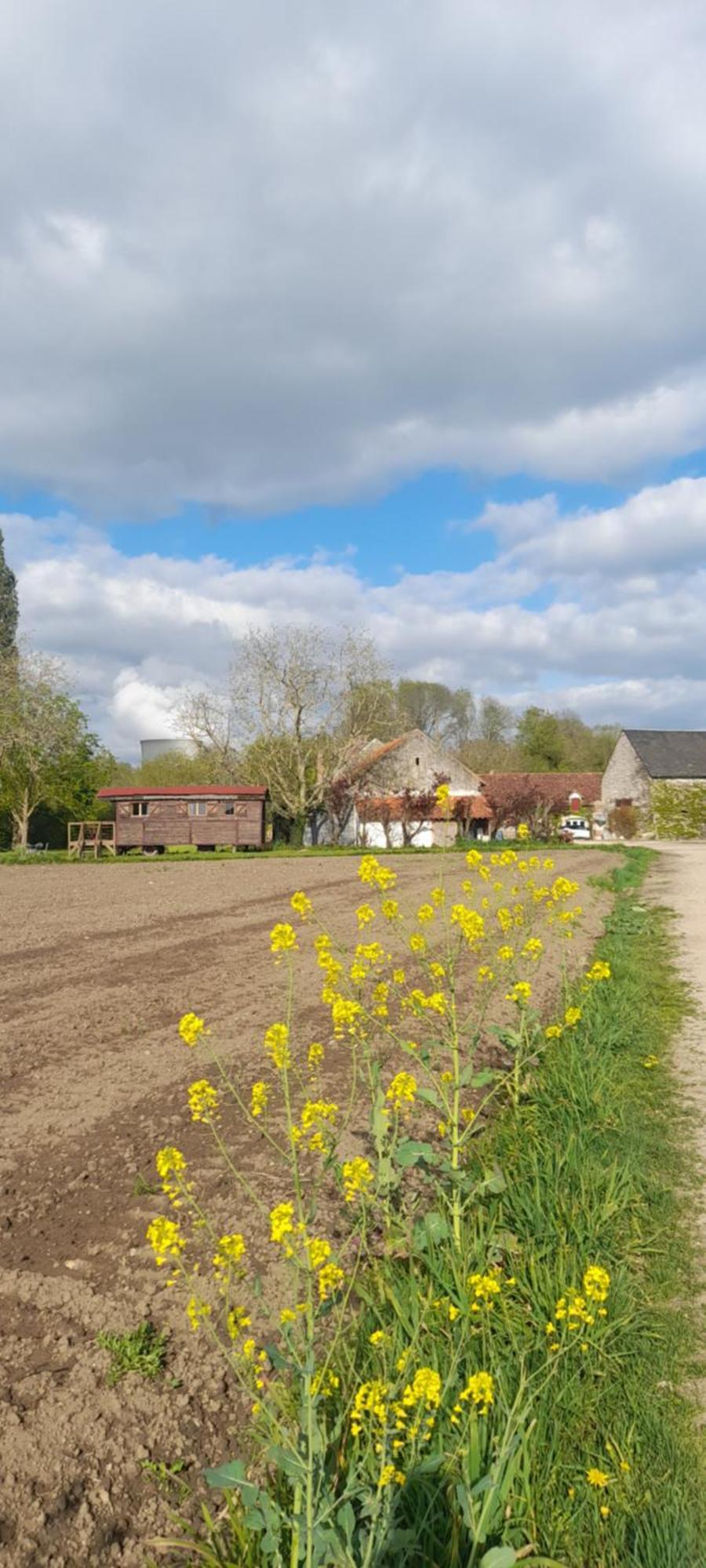 مبيت وإفطار Avaray La Ferme De L'Isle Et Sa Roulotte المظهر الخارجي الصورة